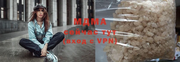 сатива Бородино