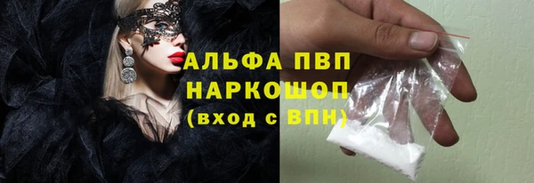 сатива Бородино