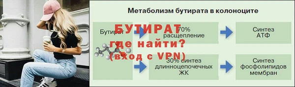 сатива Бородино