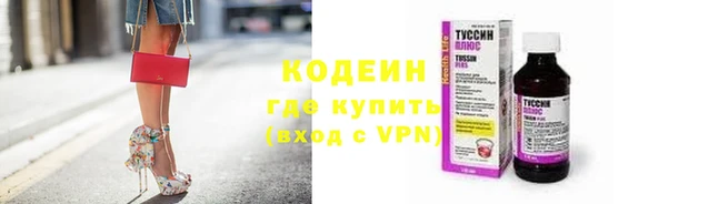 прущие грибы Няндома