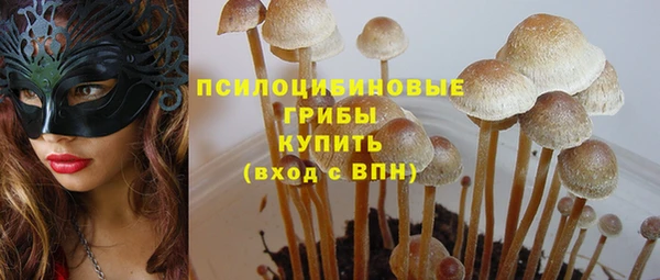 дурь Бугульма