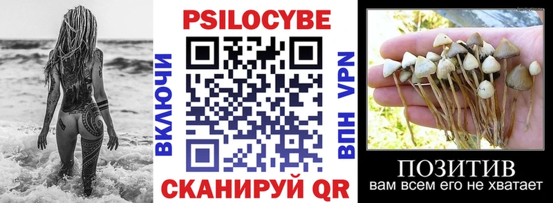 Псилоцибиновые грибы Psilocybine cubensis  Купить закладки  Тайга 